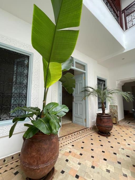 Riad Vivre - Design Boutique Riad In Marrakech マラケシュ エクステリア 写真