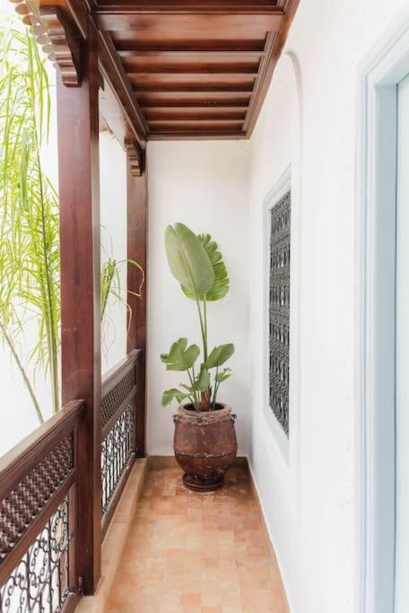 Riad Vivre - Design Boutique Riad In Marrakech マラケシュ エクステリア 写真